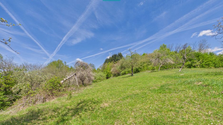 Proprietate rară cu 24.270 mp, în Măgulicea, Arad! - Poză 46