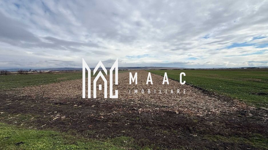 Teren intravilan | 9600 mp | Șură Mică | Utilități | Drum Asfaltat - Poză 5