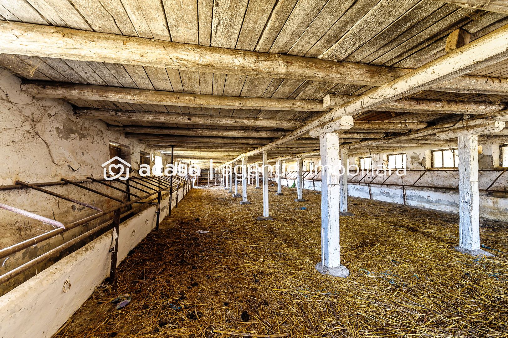 Fermă Mândruloc 2,5 ha - Poză 5