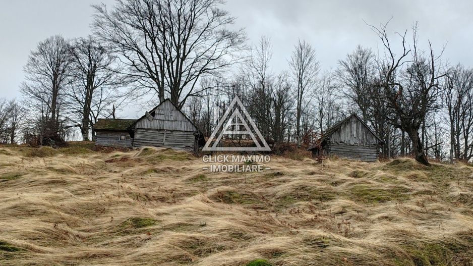 19.5 Hectare în Zona Turistică Montană – Bulz, Bihor - Poză 4