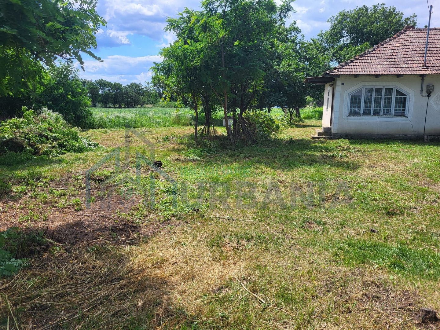 Casă bătrânească cu 5200 mp teren în Damileni - Botoșani - Poză 8