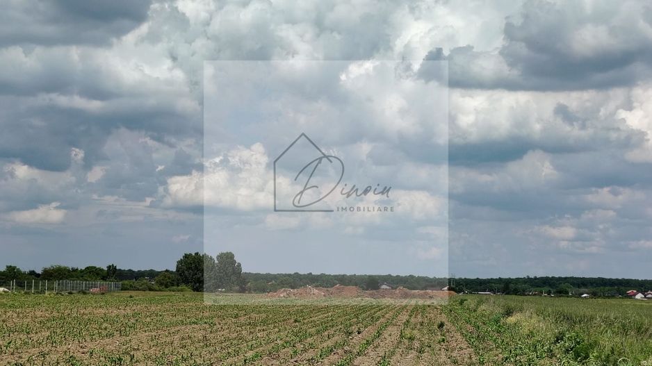 Casa Ciocanesti Cretu - 2 camere cu teren 2539 mp  - Jud. Dambovita - Poză 26