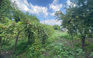 Vanzare case și anexa, teren 790 mp – ideală pentru familie -Doicesti - Poză 30