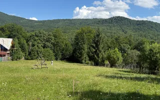 Teren intravilan 1662 mp pozitie superba-Calea Brasovului Valea Neagra - Poză 14