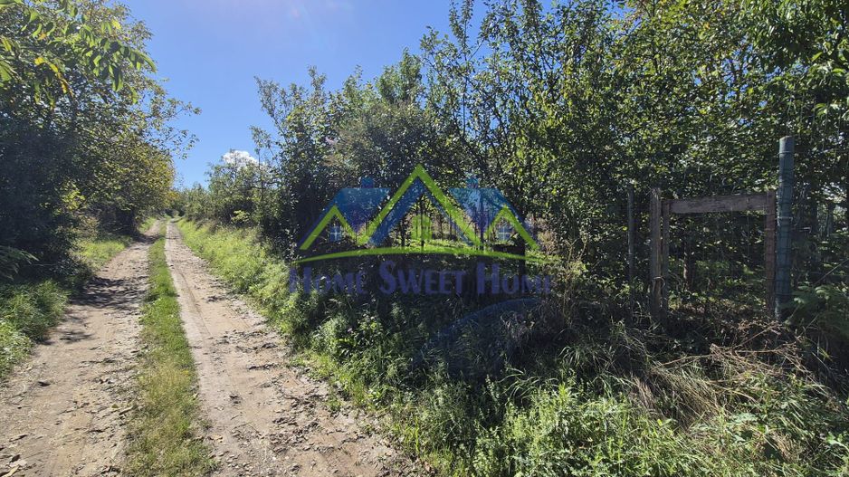 Teren intravilan în zona Lătureni – Buituri, în spatele casei nr. 100! - Poză 4