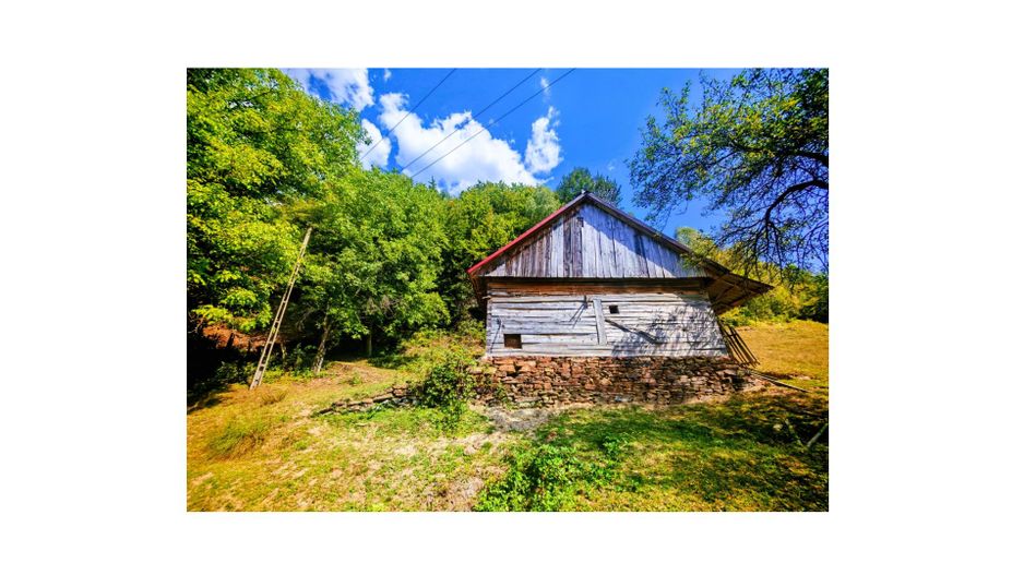 CASA TRADITIONALA, ANEXE si 46.980 mp teren partial INTRAVILAN - Poză 3