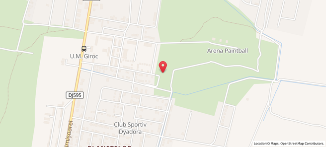 Locație Bunea Real Estate