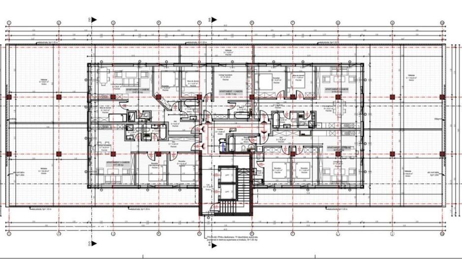 Penthouse nou, Calea Torontalului - Poză 3