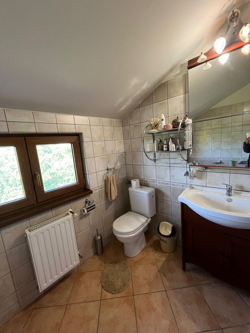 Casă elegantă, spațioasă, ideală pentru familie – Sanmihaiu Roman - Poză 5