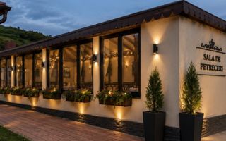 Vila de inchiriat pentru petreceri private - 4 camere, 3 bai, zona Bucium, Plopii Fara Sot, Iasi - Poză 1