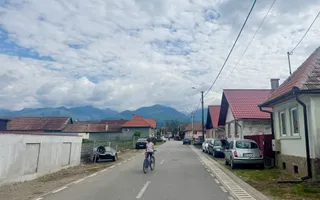 Casa individuala in Arpasu de Sus, teren mare, partial renovata - Poză 31