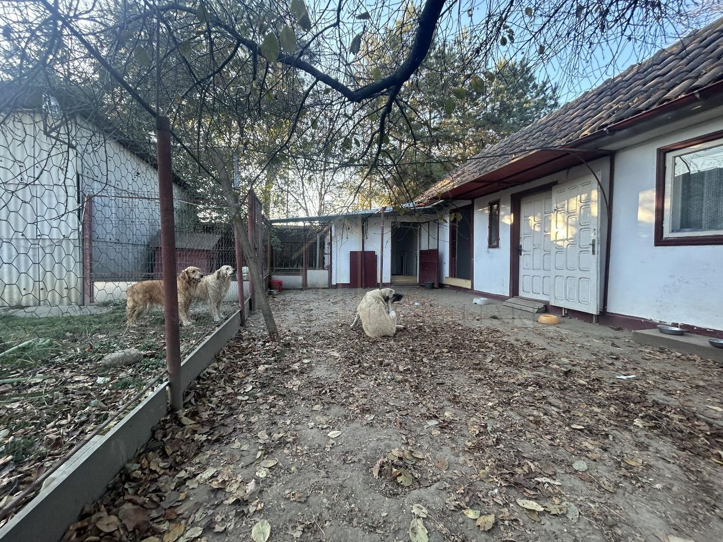 Proprietate multifuncțională cu potențial pentru investiții - Poză 7