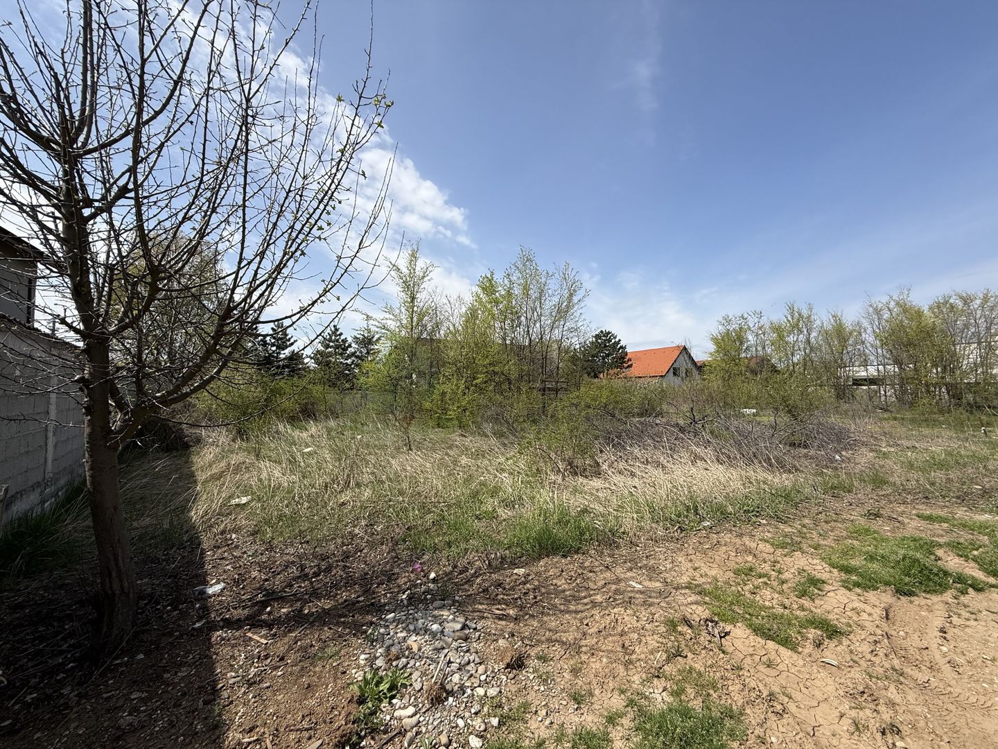 Teren 590 mp | Corbeanca, str Laguna Albastra - Poză 6