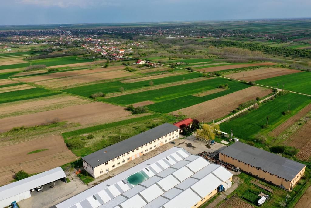 HALE INDUSTRIALE & PLATFORME BETONATE & TEREN INTRAVILAN 23500MP CRAIOVA - Poză 2