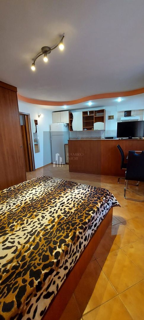 Garsoniera Sebastian - Poză 5