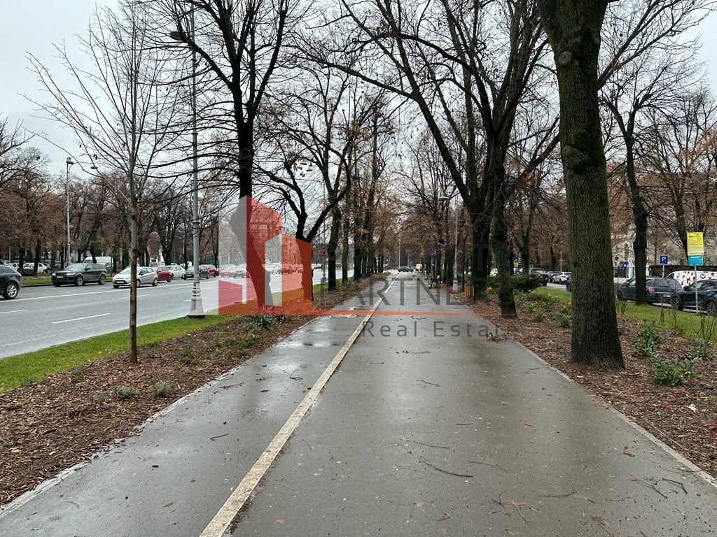 Unic, intre Victoriei si Charles de Gaulle - Poză 2