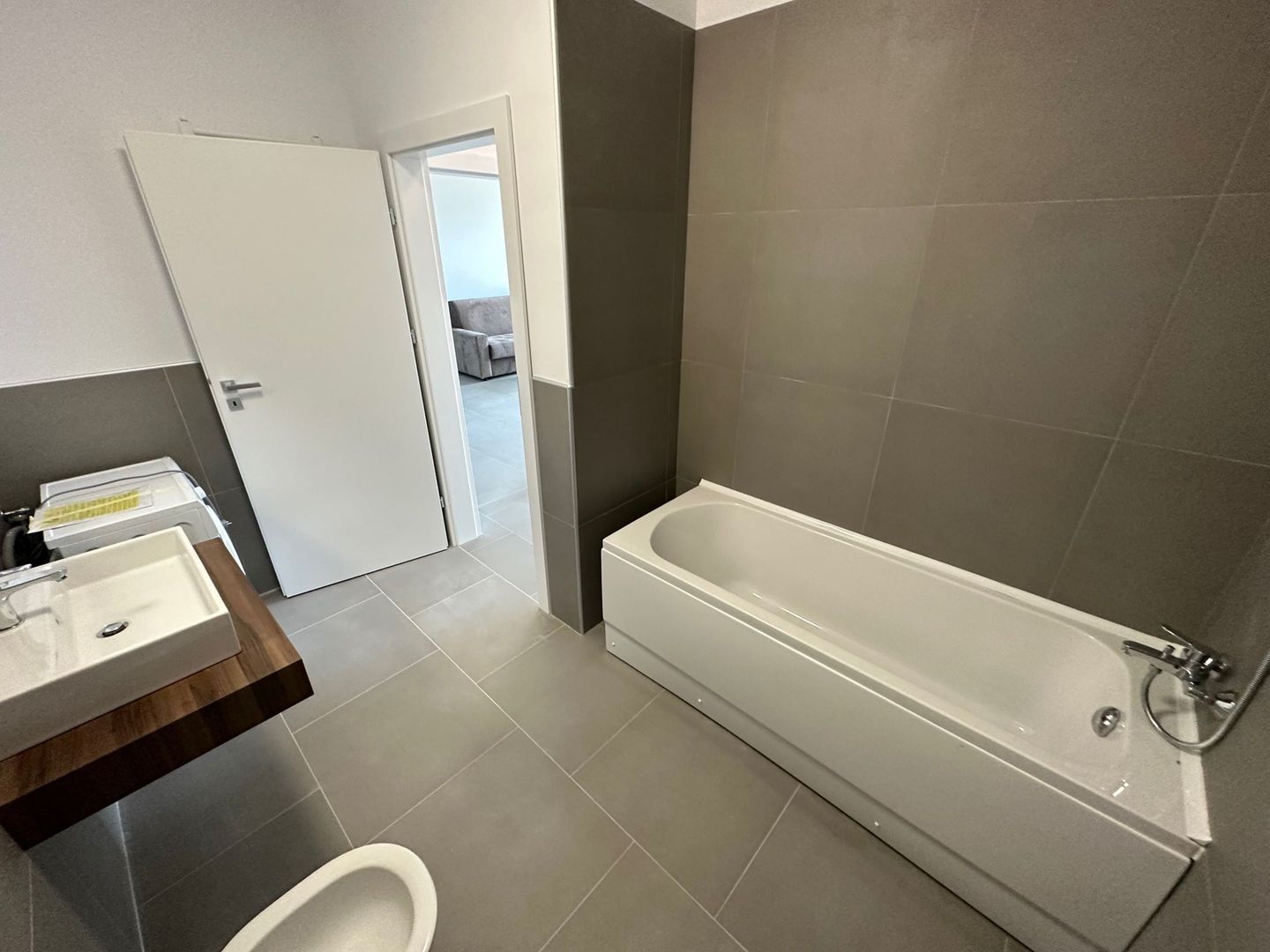 Apartament 2 camere Torontalului - Veterinary Faculty - Poză 10