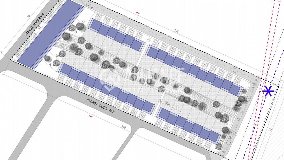 AUREL VLAICU - In spate la Raja! - Poză 5