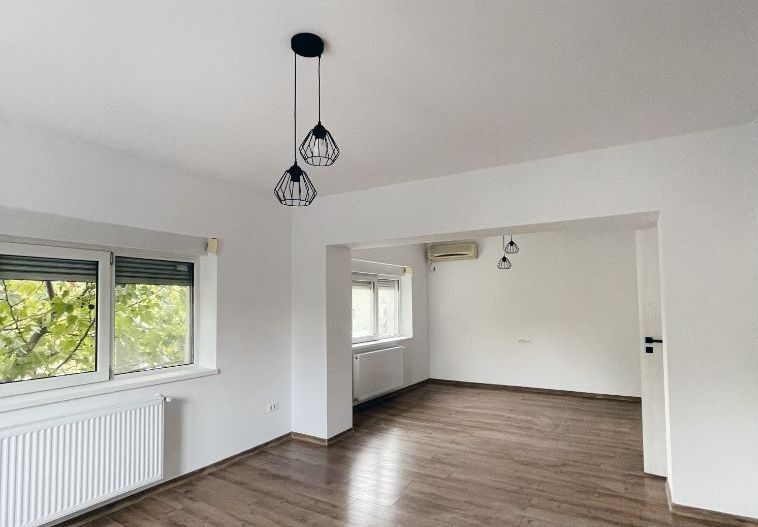 Vila cu terasa si curte de inchiriat (ideal firma), Parcul Carol - Unirii - Poză 8