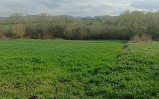 Teren intravilan Ilișești/Suceava - Poză 3