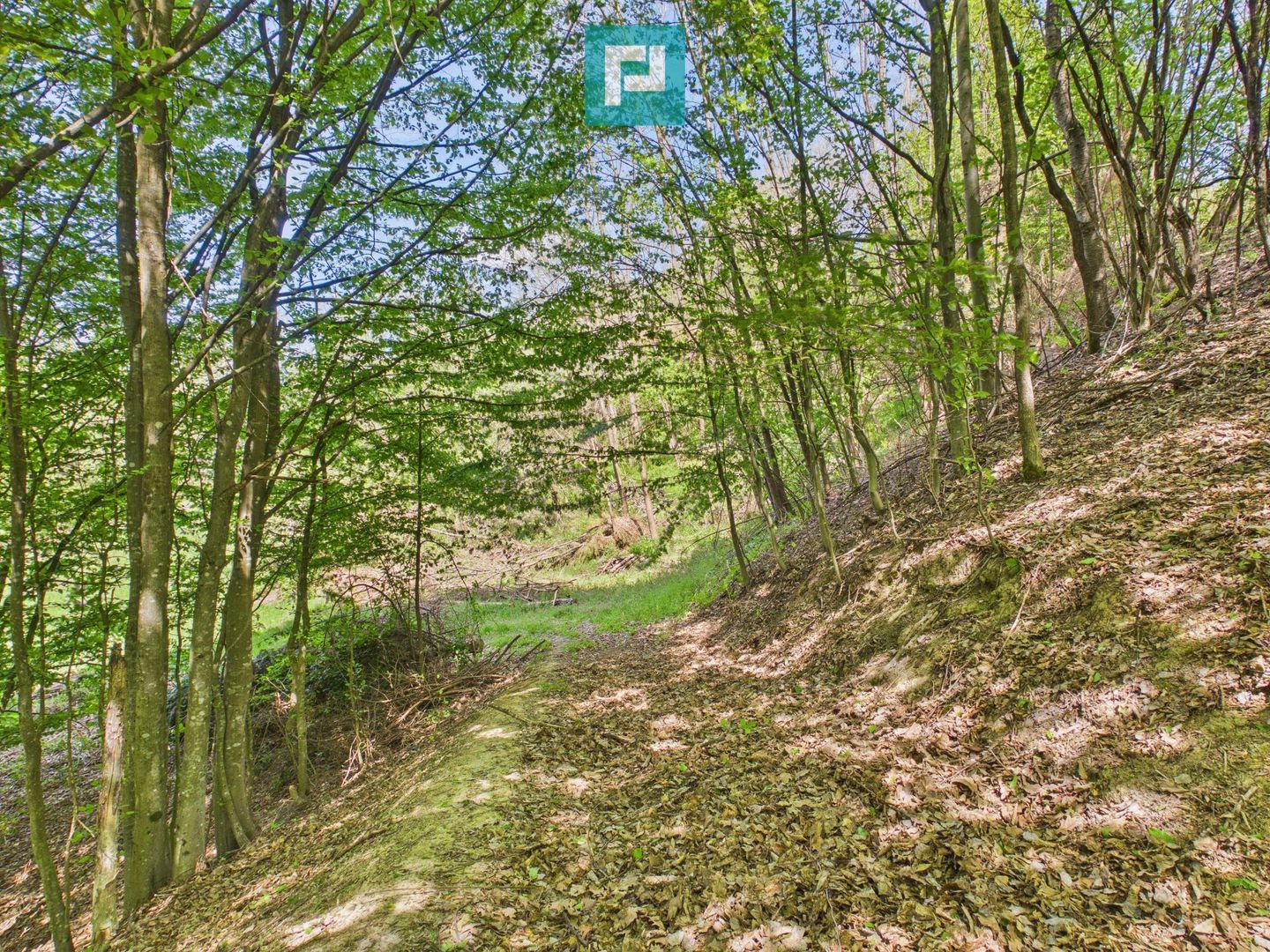 Proprietate rară cu 24.270 mp, în Măgulicea, Arad! - Poză 30