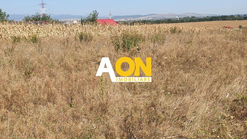 Oportunitate investitie. Oarda de Jos, 16 parcele de 490 mp - Poză 1