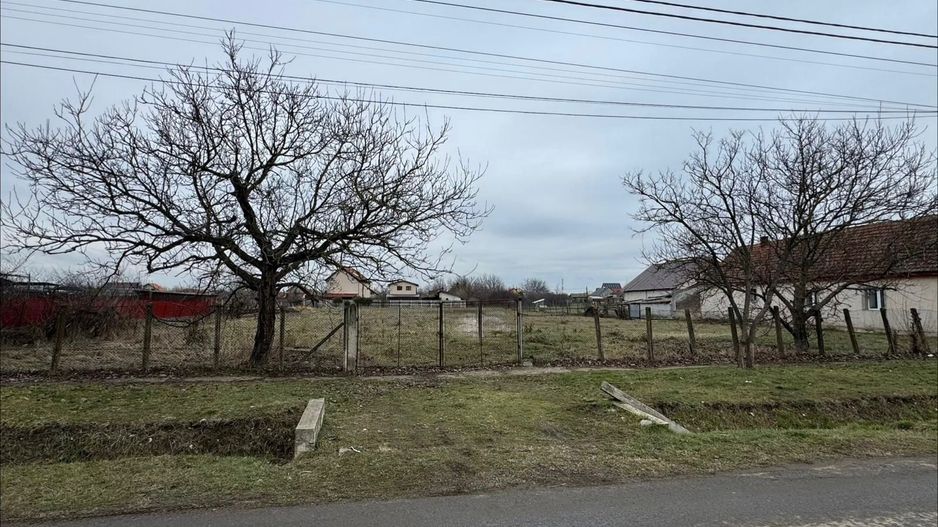 Teren Intravilan Becicherecu Mic 3104mp,F.S 38ml,Utilitati,Asfalt - Poză 1