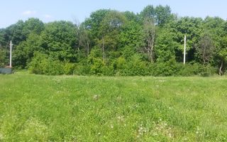 Teren Ideal Pentru constructie Vila sau Investie --Sinaia-- - Poză 3