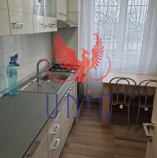 Apartament 2 camere de inchiriat zona Brazda lui Novac - Poză 7