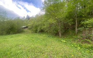 Teren Intravilan | Câmpulung Moldovenesc | 31ARI - Poză 8