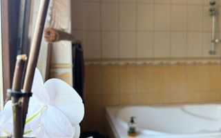 Vila spectaculoasa Corbeanca *padure proprie si piscina - Poză 60