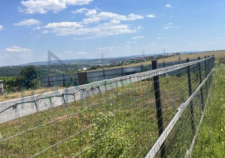 Teren de vânzare, zonă în dezvoltare, Valea Lupului, Brătuleni - Poză 3