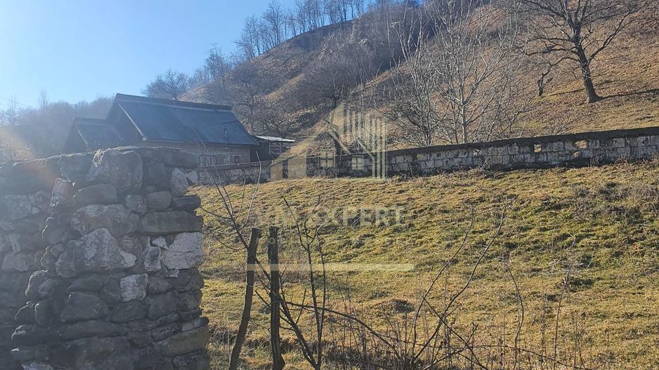 TEREN INTRAVILAN 4614 MP, CAMPULUNG - VALEA ROMANESTILOR - Poză 5
