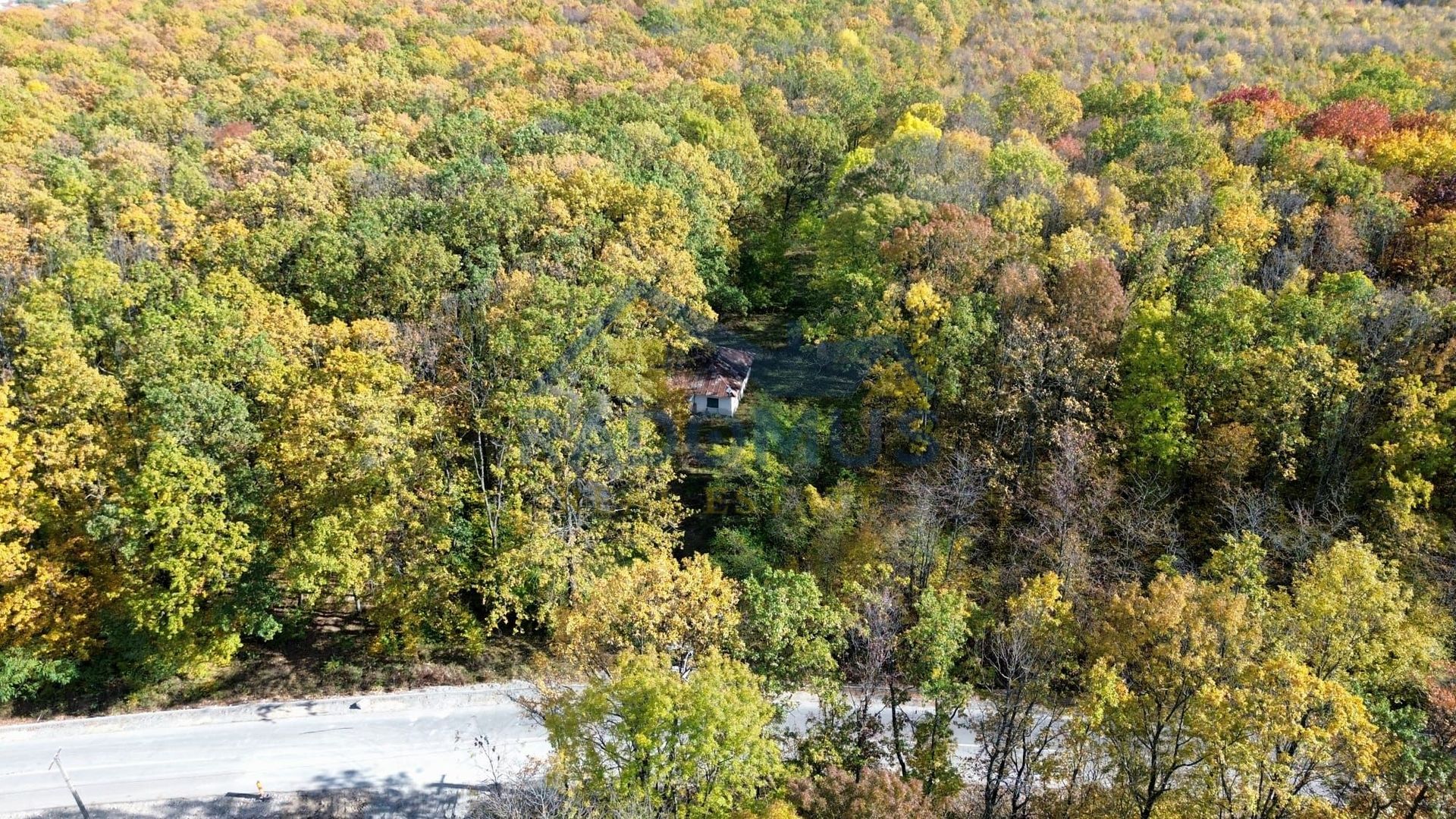 TEREN INTRAVILAN ÎN PĂDURE LA VĂRBILA - PRAHOVA – COMISION 0% - Poză 7