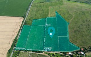 Vie Tradițională „Halta Lupilor” - Poză 1