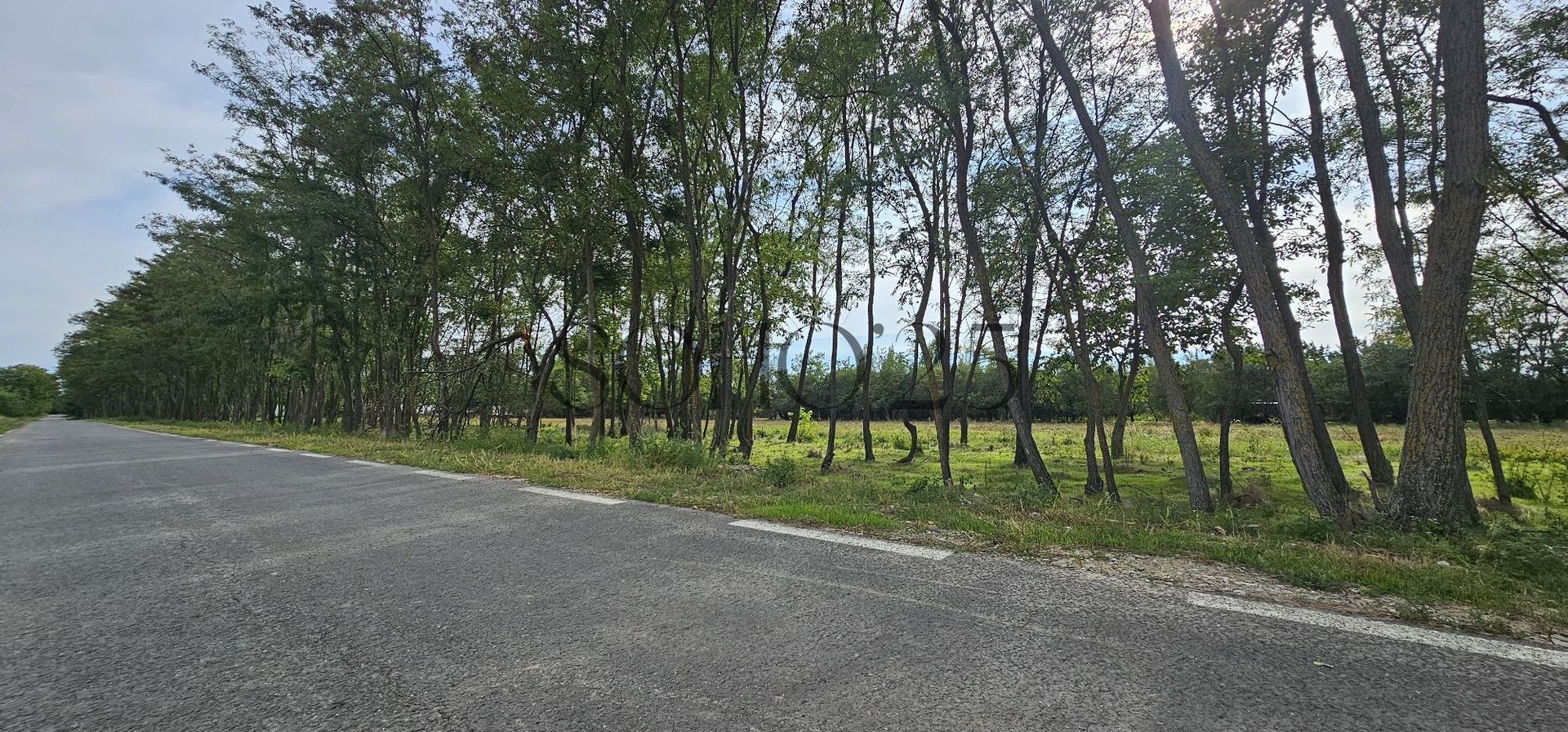 Teren intravilan construibil peisaj de vis - Poză 1