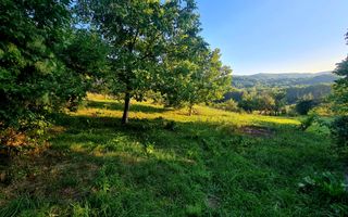 Teren Intravilan 3250 mp / Casa batraneasca / Pausesti Maglasi - Poză 2