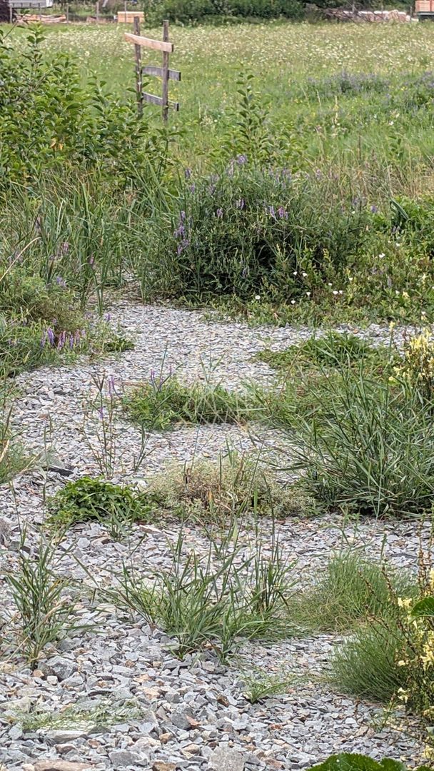 Teren intravilan 7727 mp-Parcelabil-utilitati-Bistrita Bargaului - Poză 3