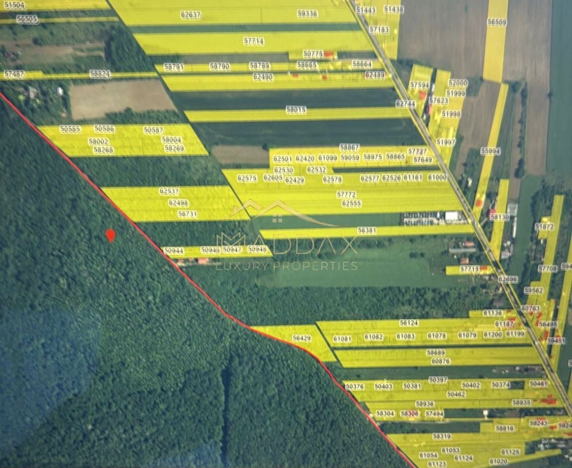 Teren INTRAVILAN***4701 mp8***Oportunitate investitie// Silistea Sangovului - Poză 2
