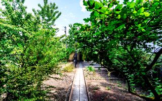 Vânzare, vilă, 4 camere, Vadul lui Vodă - Poză 28