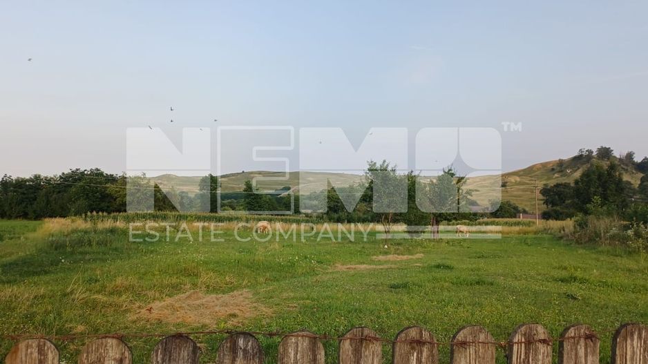 Teren Intravilan 30 Ari I Ilisesti/Suceava I 35.000Euro - Poză 3