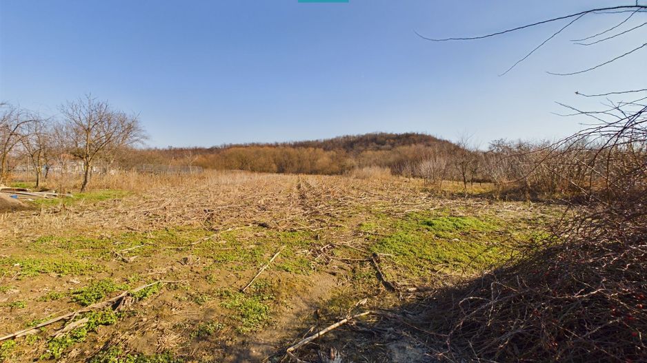 Casă rustică de vânzare în Tauț - Poză 7