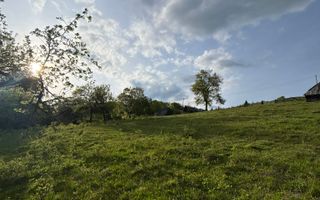 Teren de vânzare în Cugir - Poză 5