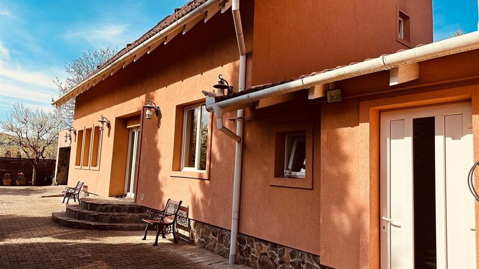 Vila remarcabila+casa boiereasca,in pretios areal de 2.100 mp, Santana de Mures - Poză 21