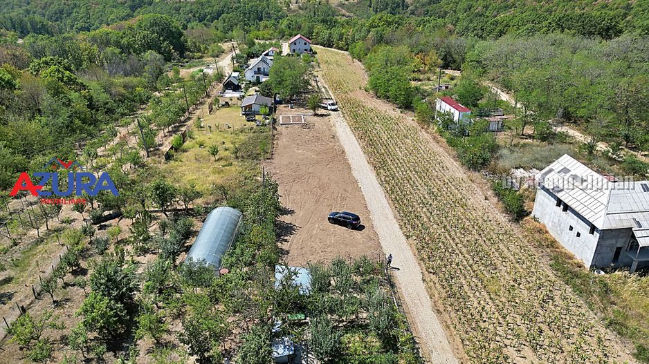 AZURA Imobiliare - Teren Mosoaia Dealul Viilor langa Padure - Poză 7