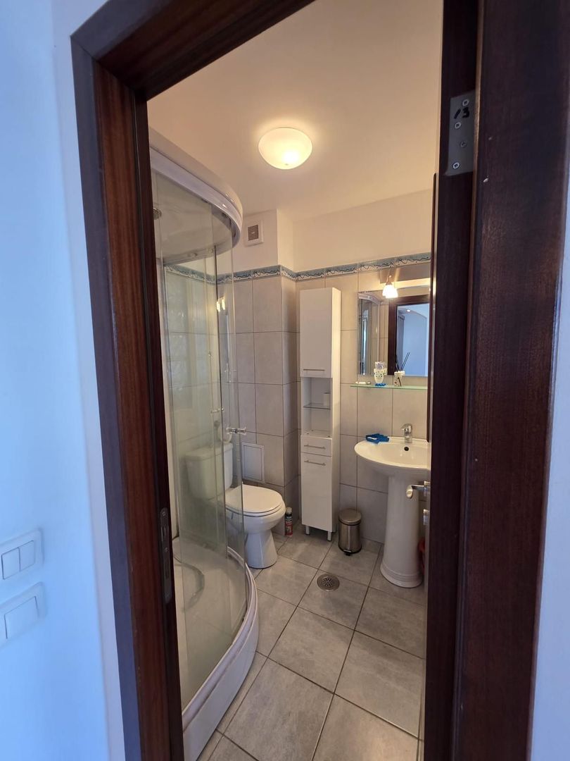 Garsonieră spațioasă Ozana, parcare, centrală proprie, balcon, pet friendly - Poză 9