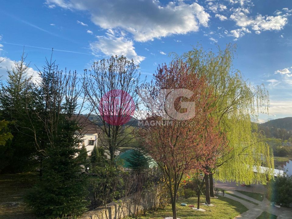 Hala industriala + teren Pausesti Valcea - Poză 4