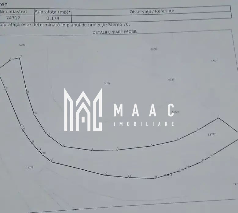 BLACK FRIDAY  I Teren cu potențial turistic I 3174 MP | TransApuseana - Poză 4
