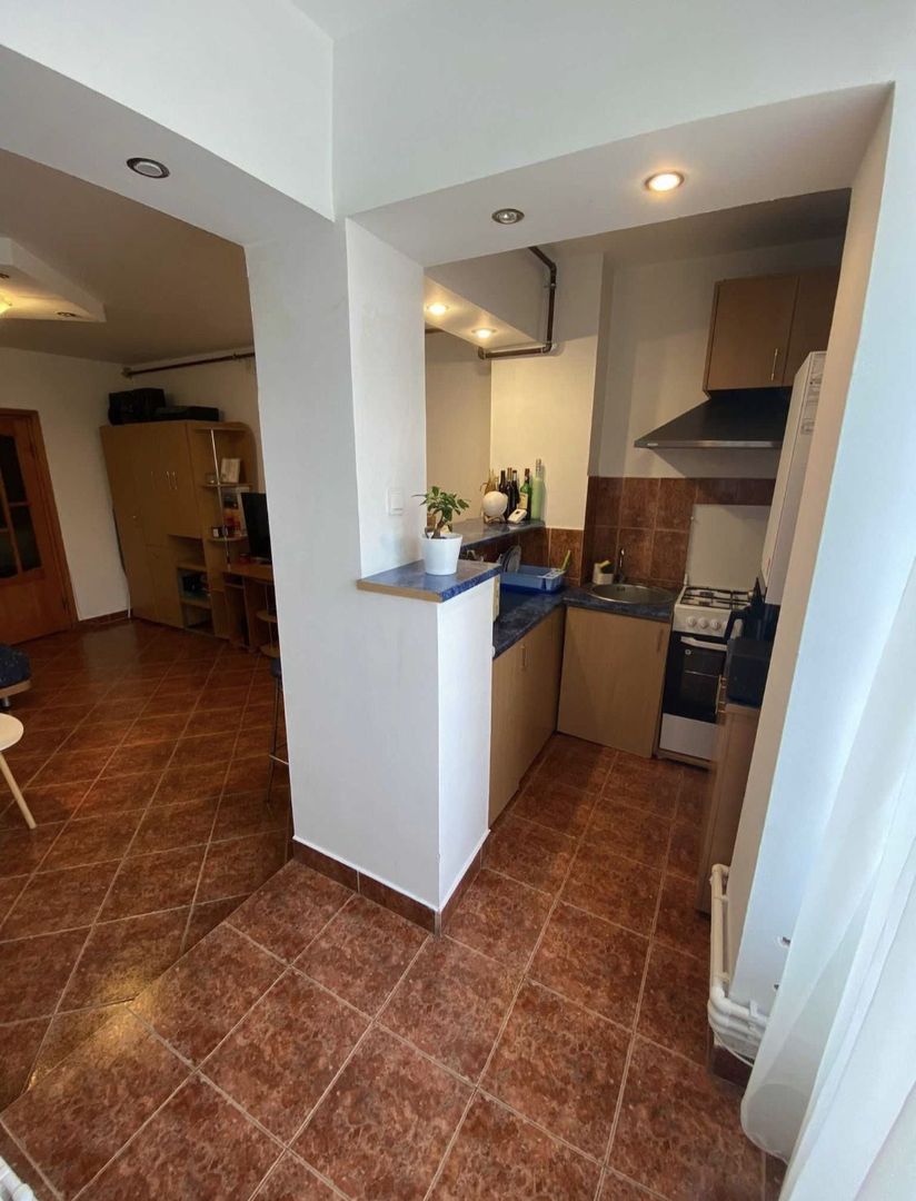 Vand Garsoniera pe Alex Lapusneanu 110 Bl 17 - Poză 6