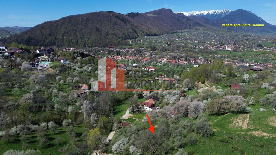 Teren 2500 mp Sohodol - Poză 3